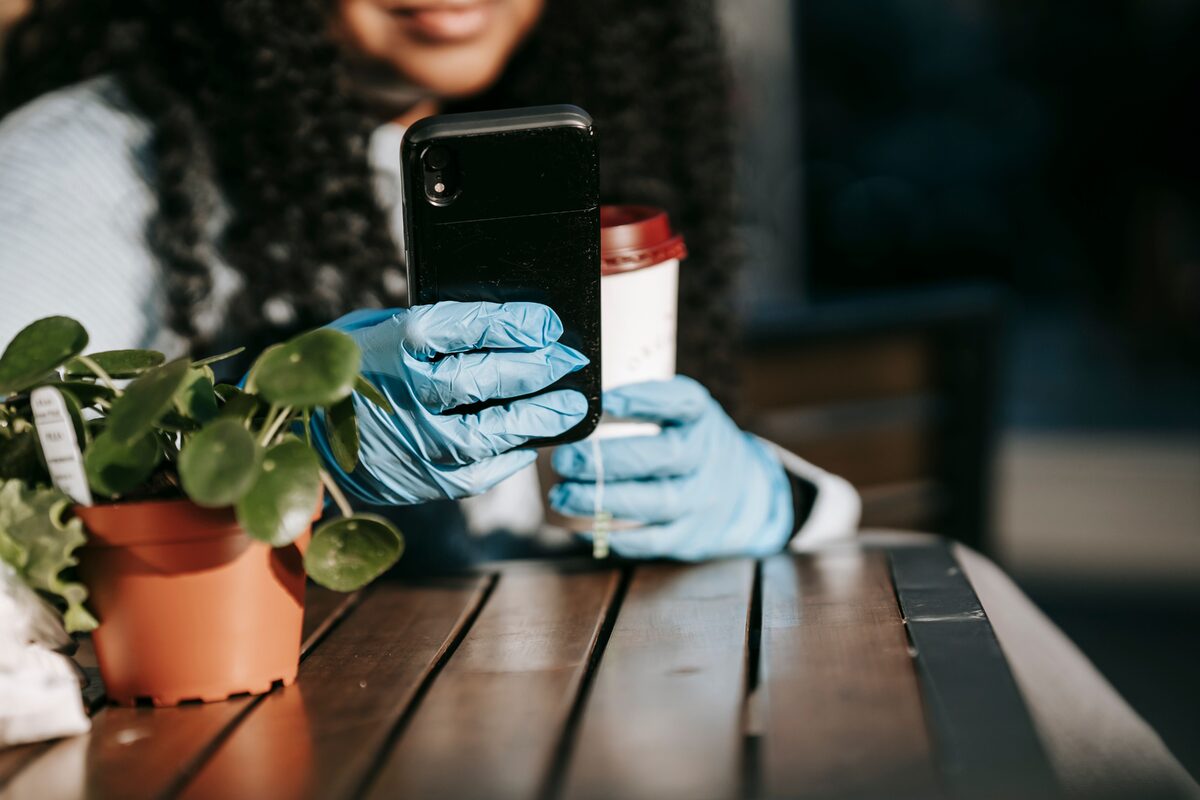 Crop unrecognizable ethnic woman in blue protective gloves texting on smartphone with paper cup with hot drink at wooden table with potted green plant in street in daytime